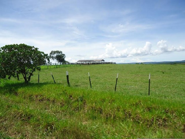 Foto 1 - Fazenda dupla aptido Rondonpolis MT 5850 hec