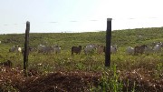 Fazenda financiada - breu branco -estado do pará